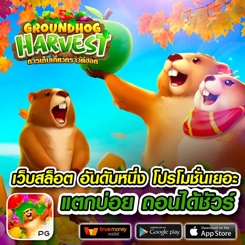 โบนัส starroyal 999